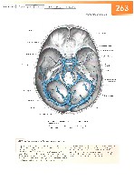 Sobotta Atlas of Human Anatomy  Head,Neck,Upper Limb Volume1 2006, page 270
